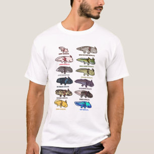 Typen von Axolotl Farben und Morphen Jungen Mädch T-Shirt