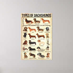 Typen von Dackeln Dog Poster, Dackeln bekannt Leinwanddruck