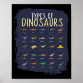 Typen von Dinosaurier Dino Kinderjungen Poster (Vorne)