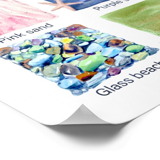 Types of Beaches Educational  Poster (Ecke)