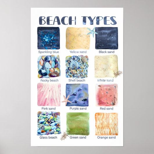 Types of Beaches Educational Poster (Vorne)