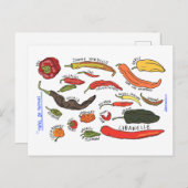 Types of Peppers Postkarte (Vorne/Hinten)
