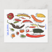 Types of Peppers Postkarte (Vorderseite)
