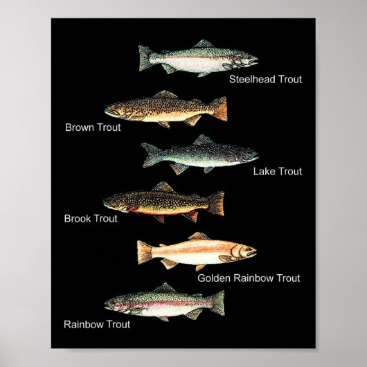 Types Of Trout Fish Species Collection Fishing Poster (Vorne)