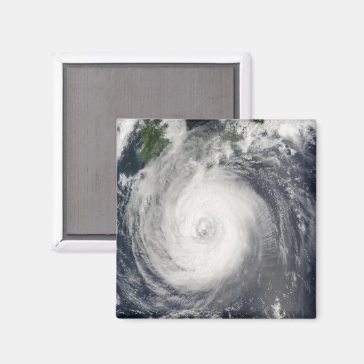 Typhoon Chaba Magnet (Vorderseite/Rückseite)