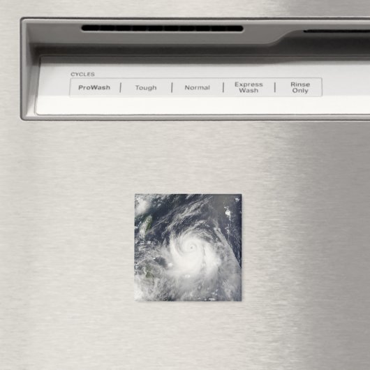 Typhoon Ewiniar Magnet (In Situ (Geschirrspüler))