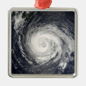 Typhoon Fitow Ornament Aus Metall (Vorne)