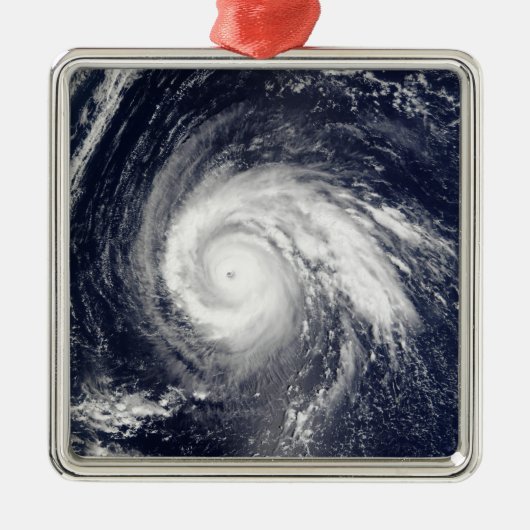Typhoon Higos Ornament Aus Metall (Vorne)