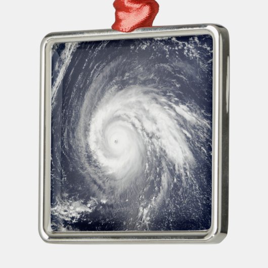 Typhoon Higos Ornament Aus Metall (Links)