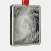 Typhoon Megi 2 Silbernes Ornament (Rechts)