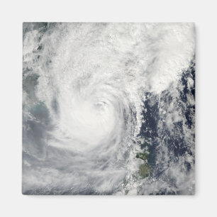 Typhoon Megi 3 Magnet