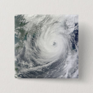 Typhoon Megi 4 Button