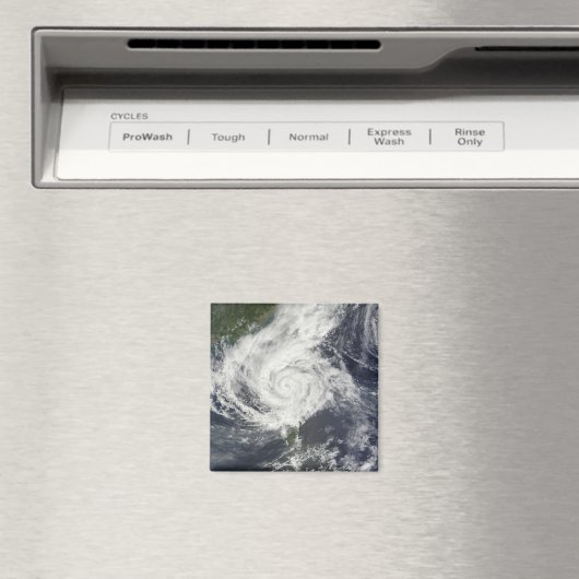 Typhoon Parma Magnet (In Situ (Geschirrspüler))