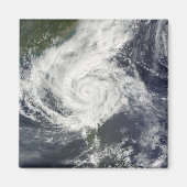 Typhoon Parma Magnet (Vorne)