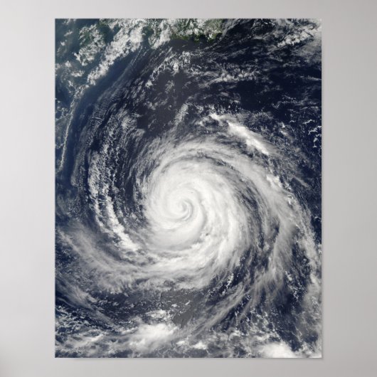 Typhoon Rusa Poster (Vorne)