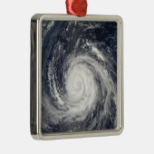 Typhoon Rusa Silbernes Ornament (Rechts)