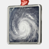 Typhoon Rusa Silbernes Ornament (Links)