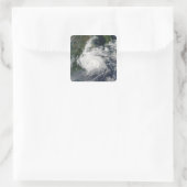 Typhoon Sinlaku Quadratischer Aufkleber (Tasche)