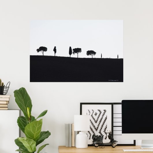 Typical trees in Tuscany Poster (Heimbüro)