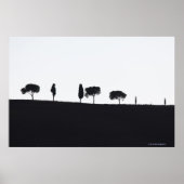 Typical trees in Tuscany Poster (Vorne)