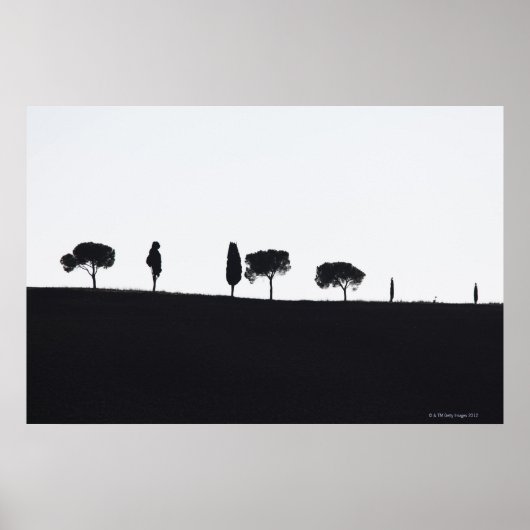 Typical trees in Tuscany Poster (Vorne)