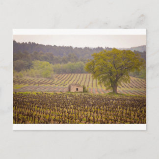 Typically french postkarte