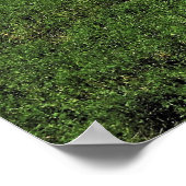 Typisch Neuseeland Poster (Ecke)