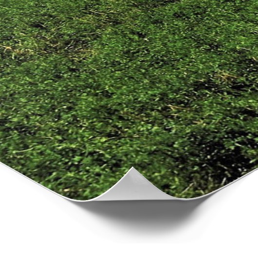 Typisch Neuseeland Poster (Ecke)