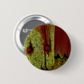 Typisch schwedische Falun rot Farbe, sehr beliebt Button (Vorne & Hinten)