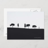 Typische Bäume in der Toskana Postkarte (Vorne/Hinten)