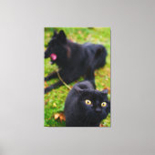 Typische Katzen- und Hundeantike Leinwanddruck (Vorderseite)