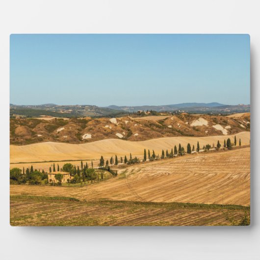 Typische Landschaften für die Provinz Siena in der Fotoplatte (Vorderseite)