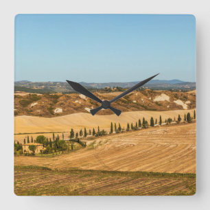 Typische Landschaften für die Provinz Siena in der Quadratische Wanduhr