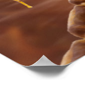 Typische myelinierte Wirbelmotorneuronen Poster (Ecke)