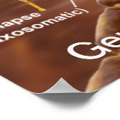 Typische myelinierte Wirbelmotorneuronen Poster (Ecke)