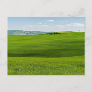 Typische Toskana-Landschaft mit Hügeln - Italien Postkarte