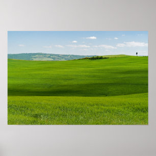 Typische Toskana-Landschaft Poster