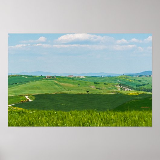 Typische toskanische Landschaft Poster (Vorne)