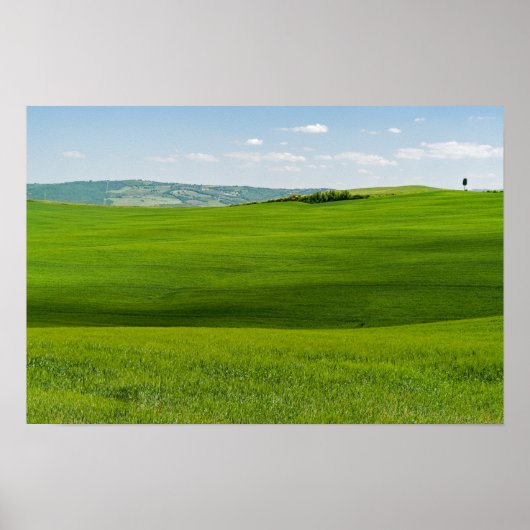 Typische toskanische Landschaft Poster (Vorne)