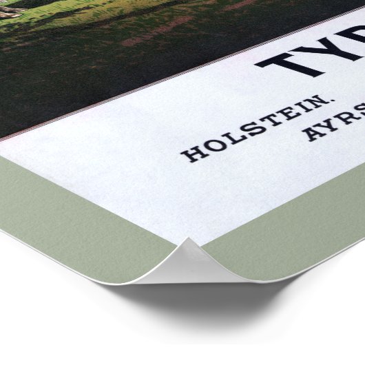 Typisches Kuhposter Poster (Ecke)