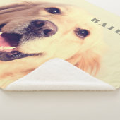 Typologie und Foto von Haustieren Sherpadecke (3/4)