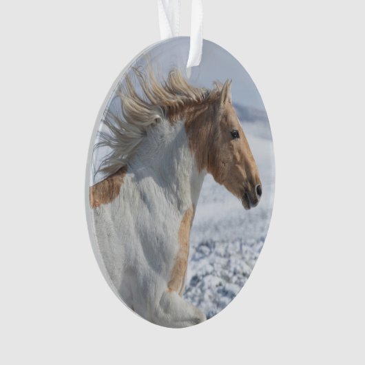 Tyr läuft im Schneeschmuck Ornament (Vorderseite)