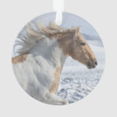 Tyr läuft im Schneeschmuck Ornament (Rückseite)