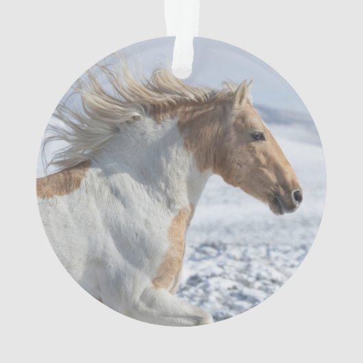 Tyr läuft im Schneeschmuck Ornament (Rückseite)