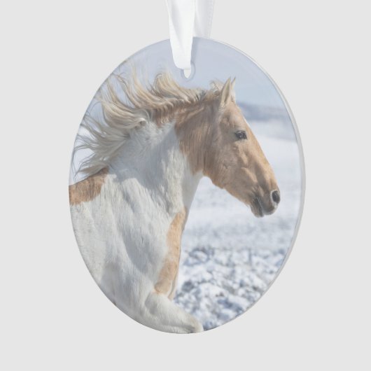 Tyr läuft im Schneeschmuck Ornament (Vorderseite)