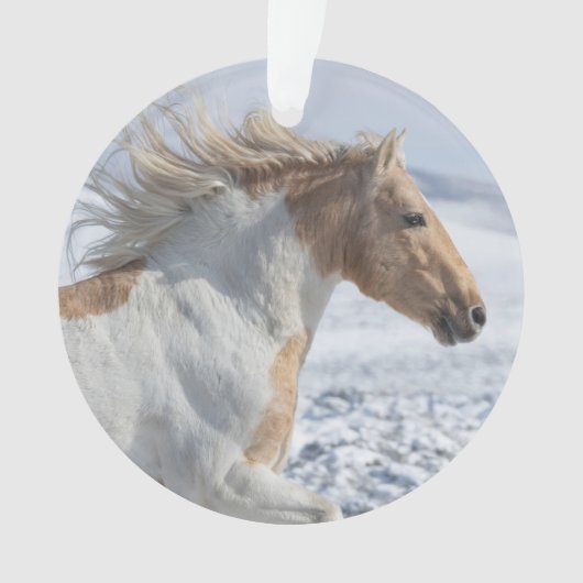 Tyr läuft im Schneeschmuck Ornament (Vorderseite)