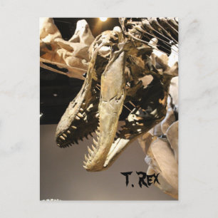 Tyrannosaurus # 2 postkarte