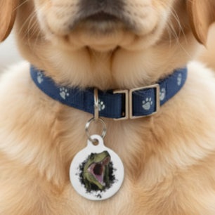 Tyrannosaurus Dinosaur Pet Hund Katze Lost Id Haustiermarke