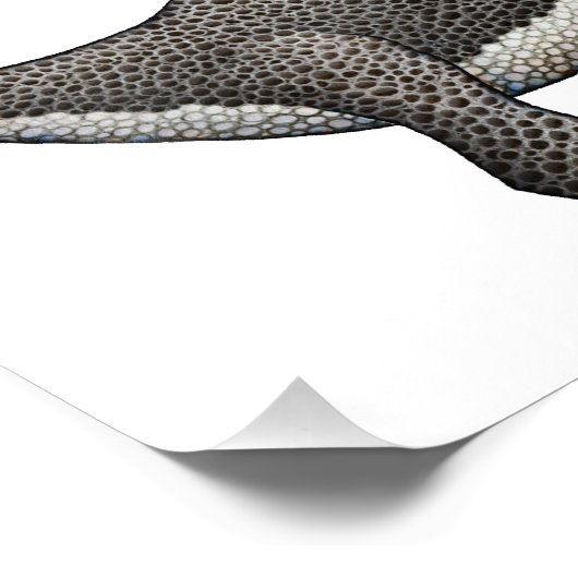 Tyrannosaurus-Illustration Fotodruck (Ecke)