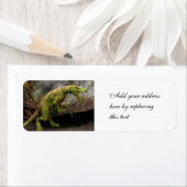 Tyrannosaurus Rex (Insitu)